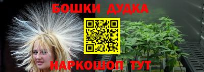 МДПВ Партизанск