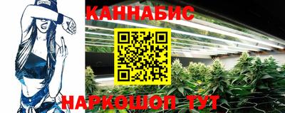 дмт Пенза