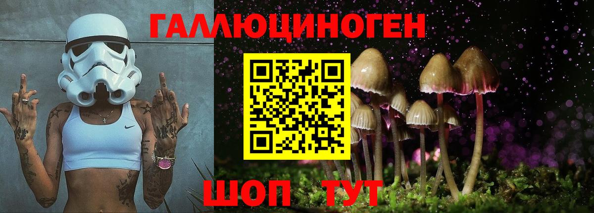 Галлюциногенные грибы ЛСД  Вход с VPN  Сланцы 